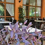 Hotel Liani Slantchev Briag